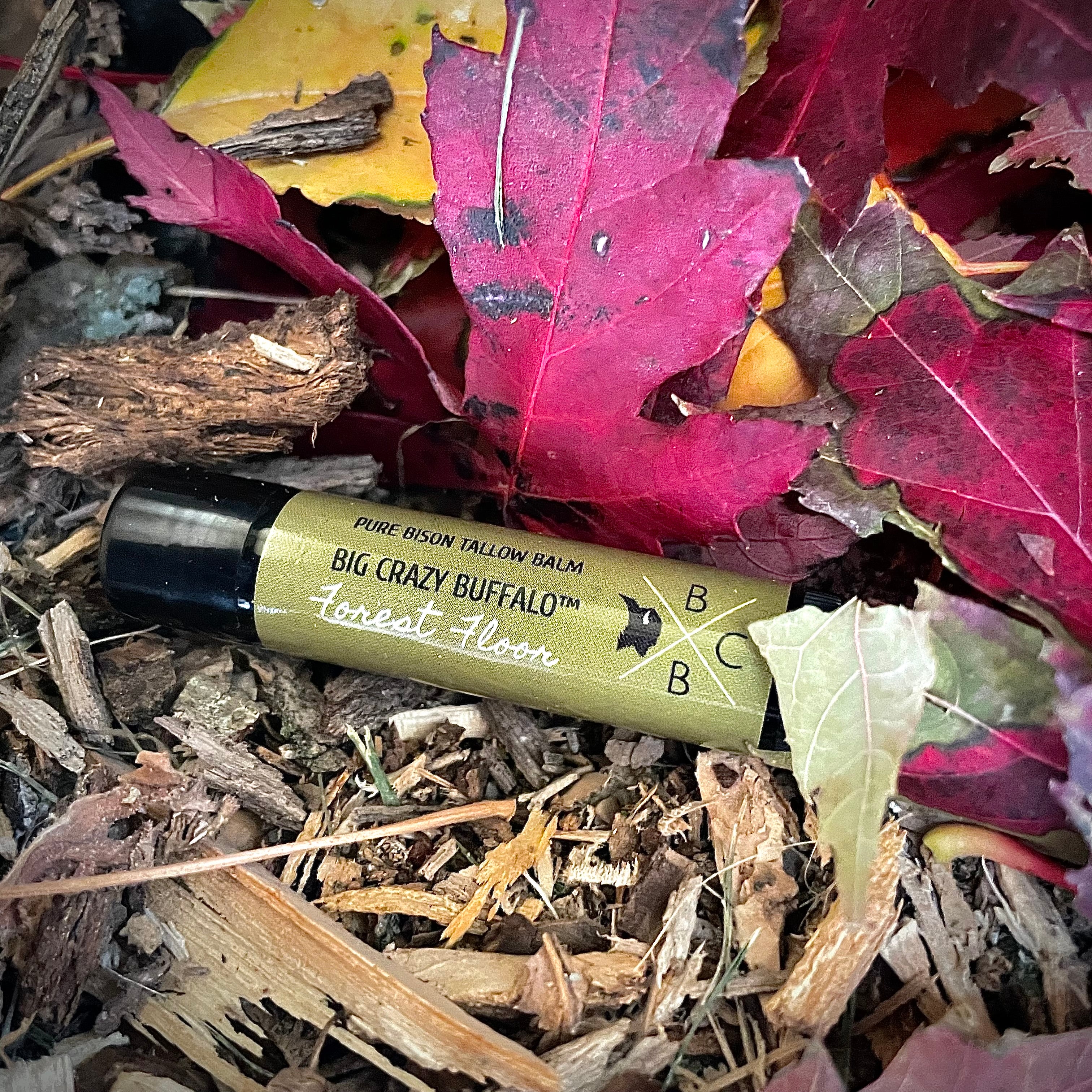 WEBSITE EXCLUSIVE!             Bison Tallow Lip Balm - Multi Scent - 5 Pack