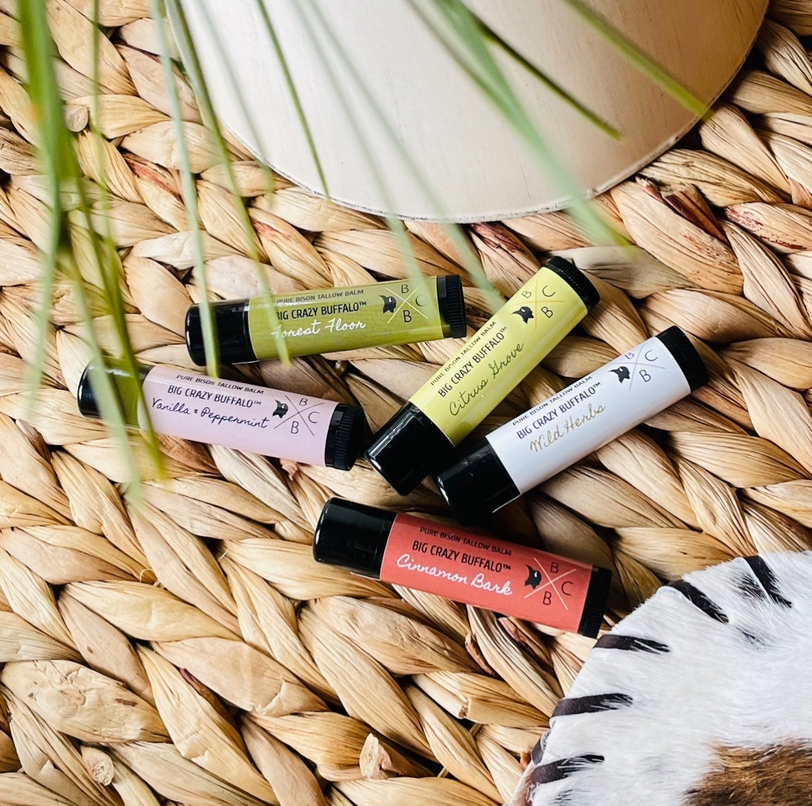 WEBSITE EXCLUSIVE!             Bison Tallow Lip Balm - Multi Scent - 5 Pack