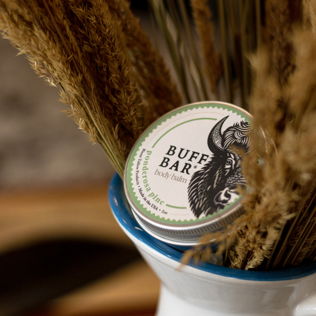 Ponderosa Pine Bison Tallow Body Balm