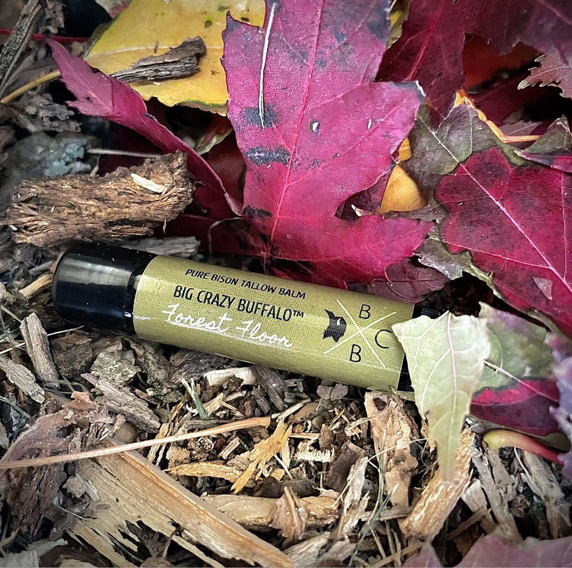 WEBSITE EXCLUSIVE! Forest Floor - Bison Tallow Lip Balm - 5 Pack