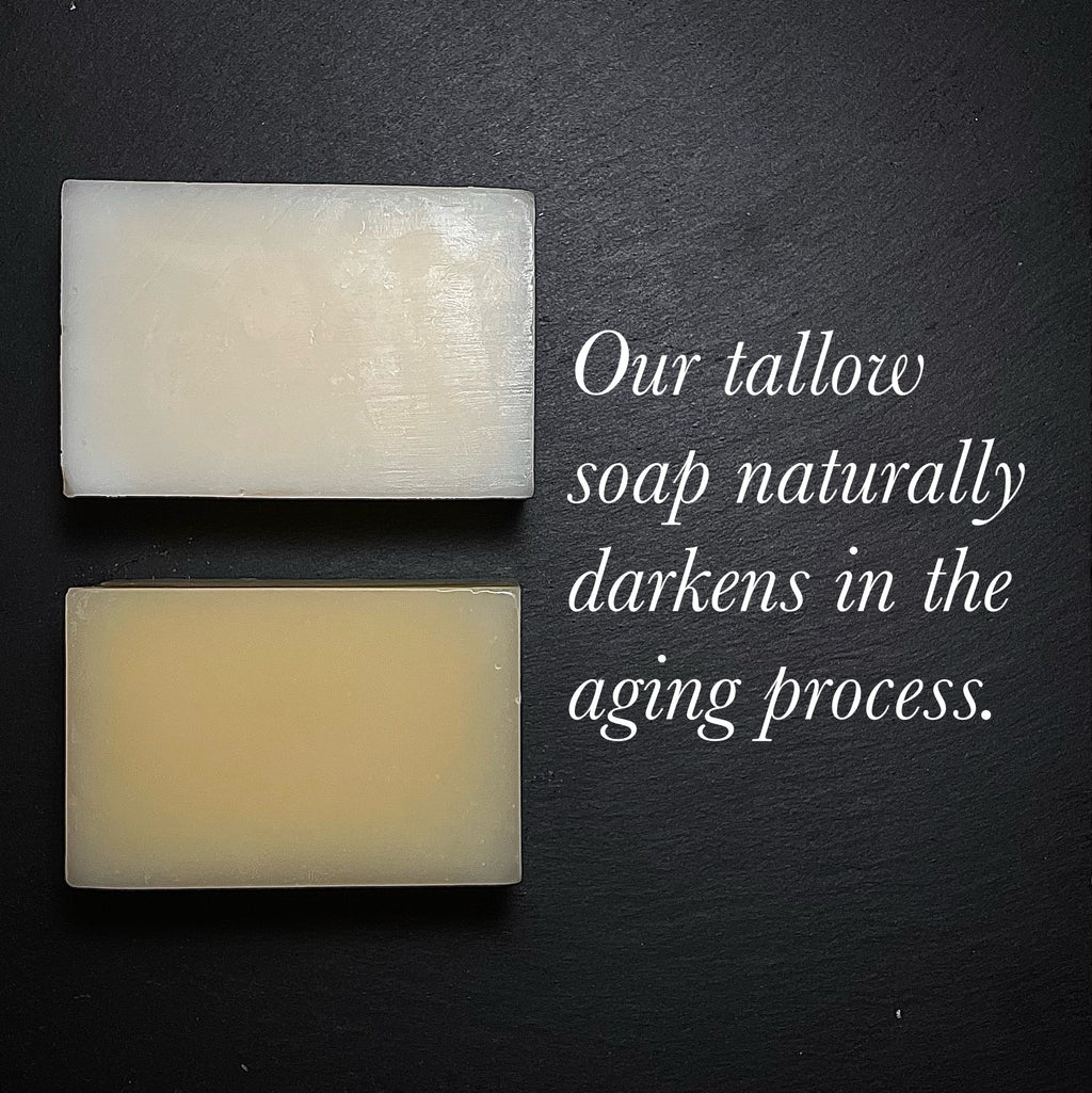 Unscented Bison Tallow Soap