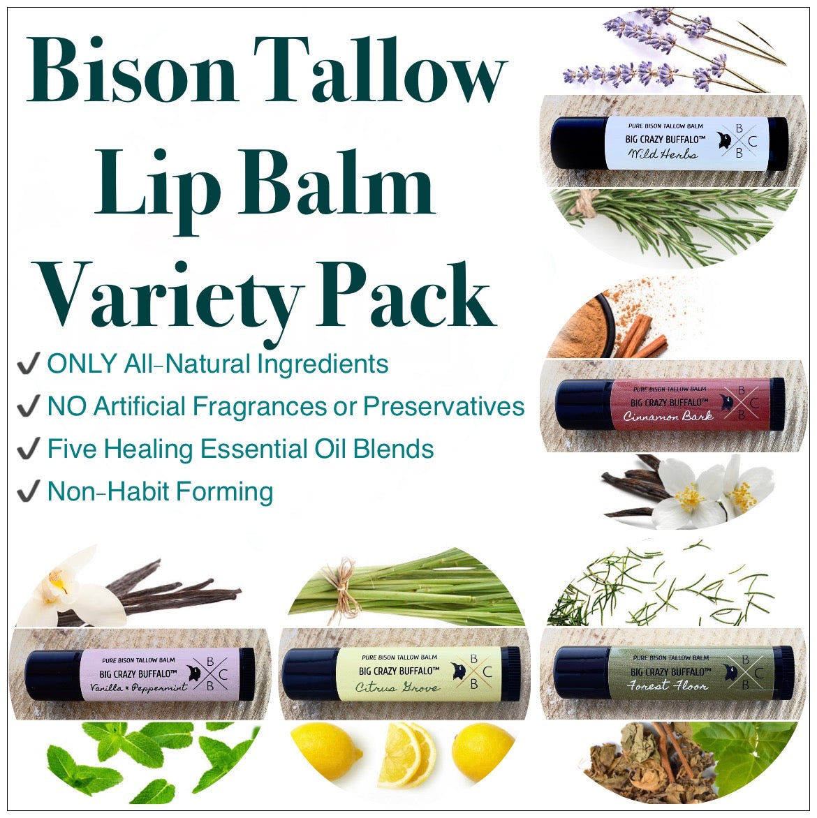 WEBSITE EXCLUSIVE!             Bison Tallow Lip Balm - Multi Scent - 5 Pack