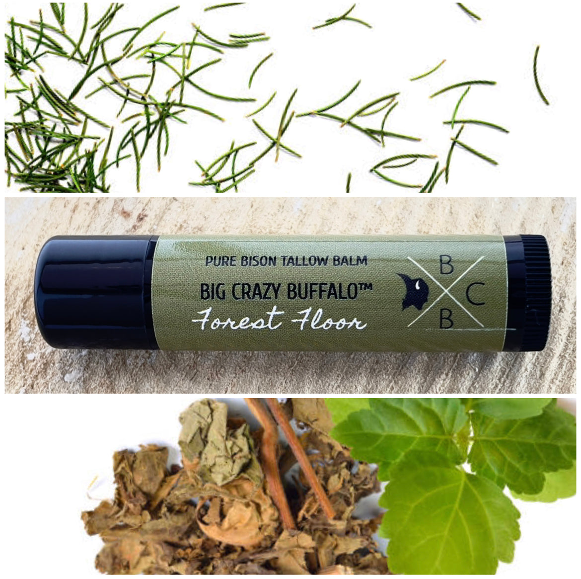 WEBSITE EXCLUSIVE! Forest Floor - Bison Tallow Lip Balm - 5 Pack