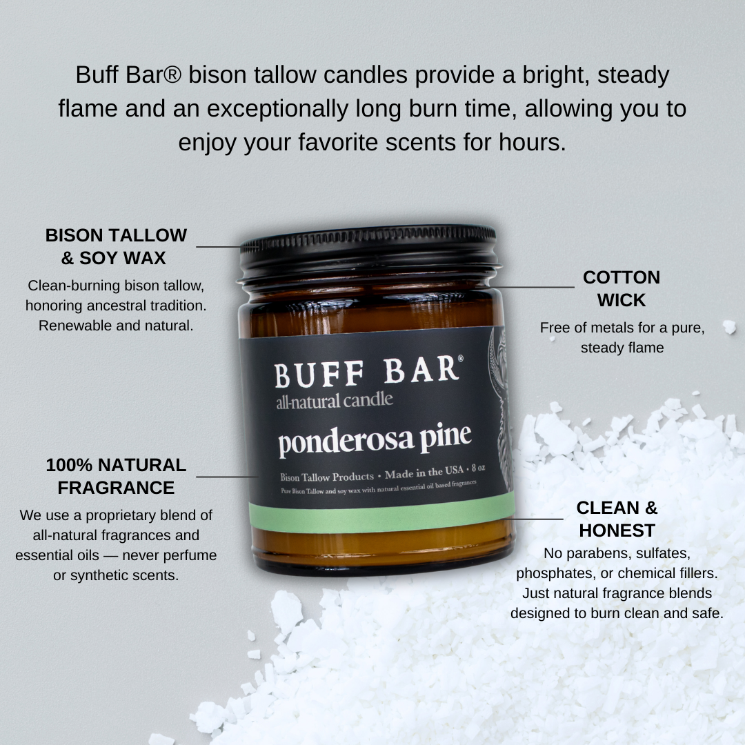 Ponderosa Pine Bison Tallow Candle