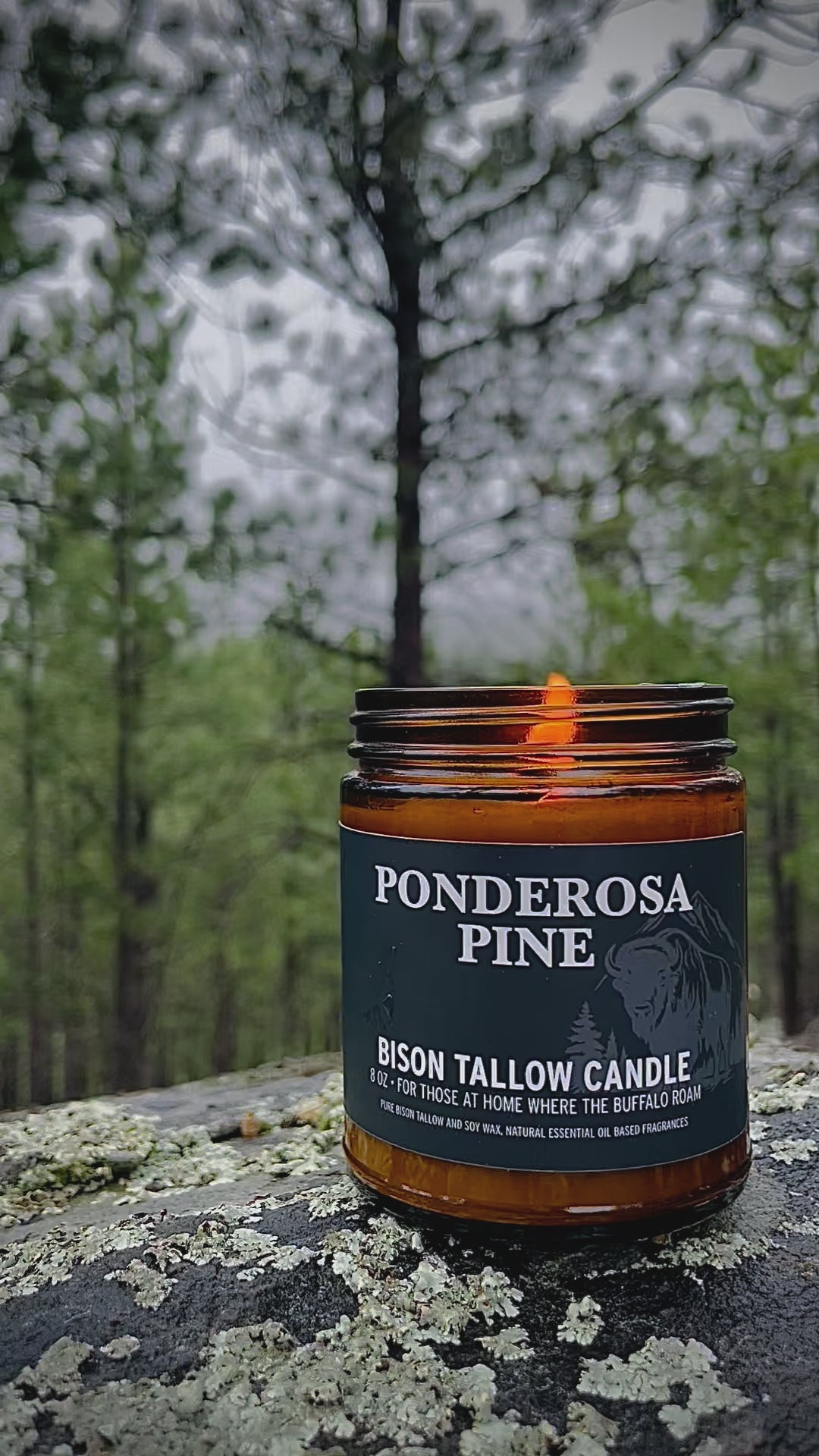 Ponderosa Pine - Candle