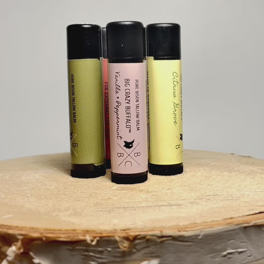 WEBSITE EXCLUSIVE!             Bison Tallow Lip Balm - Multi Scent - 5 Pack