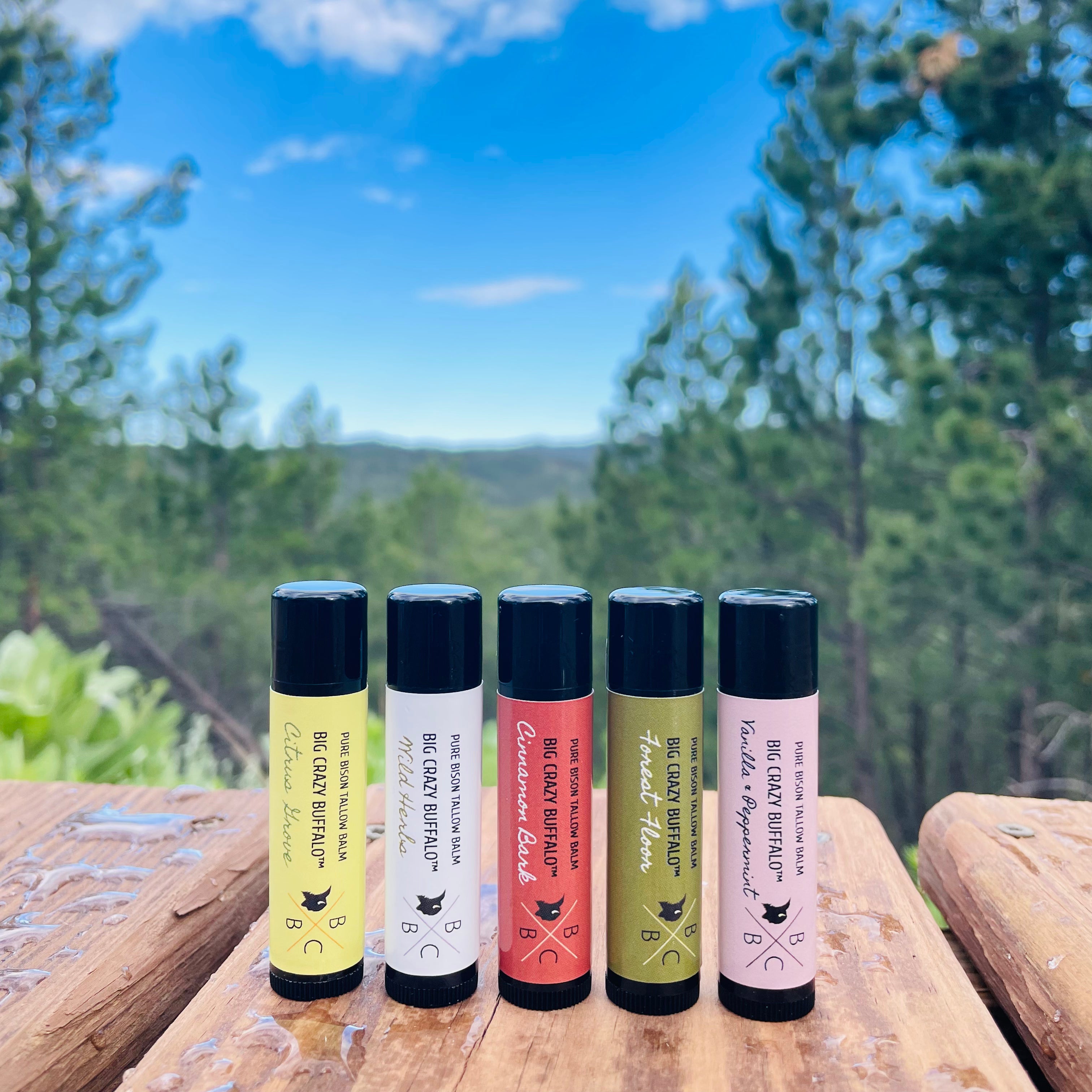 WEBSITE EXCLUSIVE!             Bison Tallow Lip Balm - Multi Scent - 5 Pack
